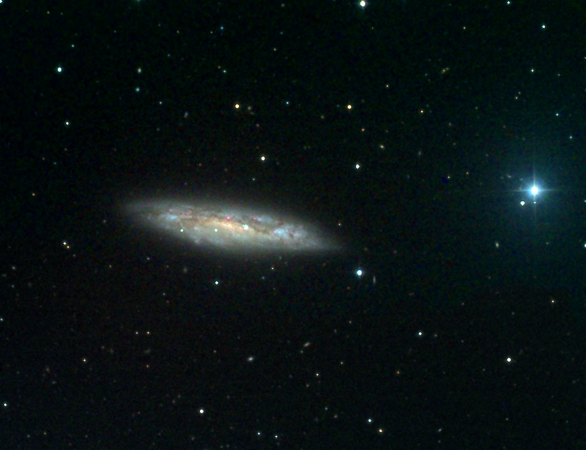 M108, NGC 3556