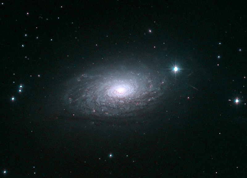 M63, NGC 5055