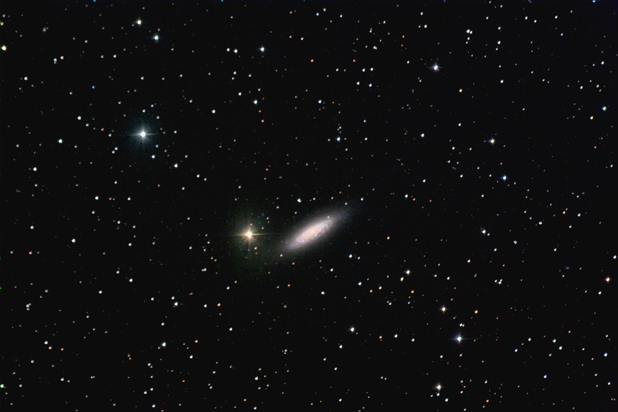 NGC 6503