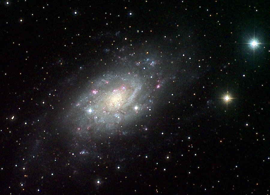 NGC 2403