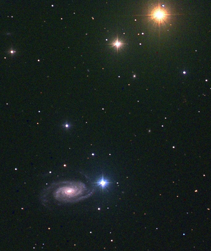 NGC 3338