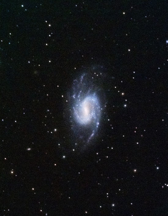 NGC 3359