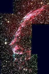 Newtwork nebula