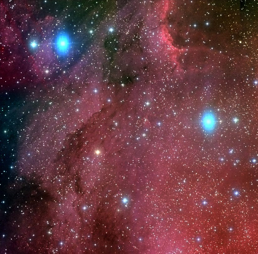 IC 5070, the pelican nebula